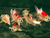 太原心理咨询师成向东：把缺陷变成独特的优势
